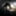 22451 icon