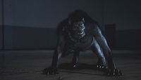 derek hale full alpha form